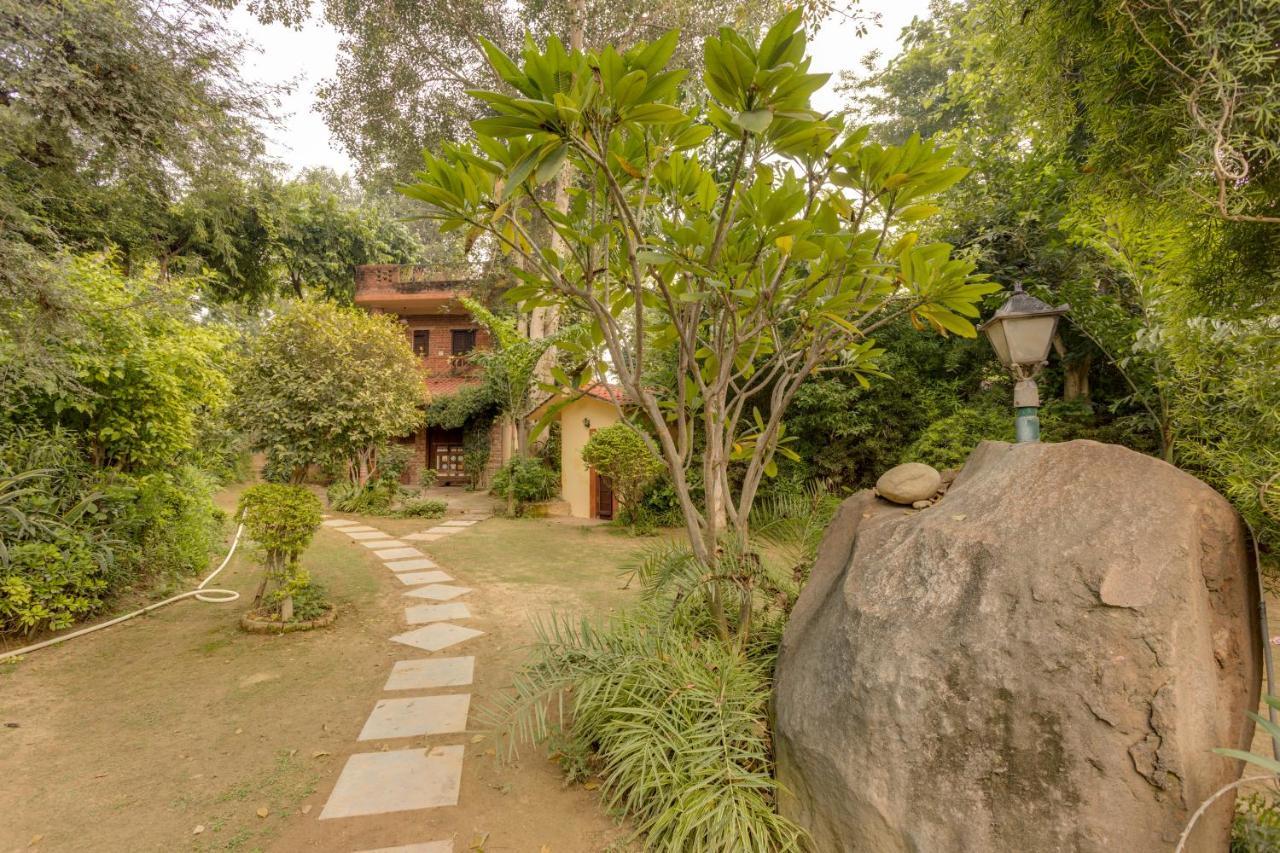 Hostie Chinar Haveli - Heritage Home With Pool, Gurgaon Buitenkant foto