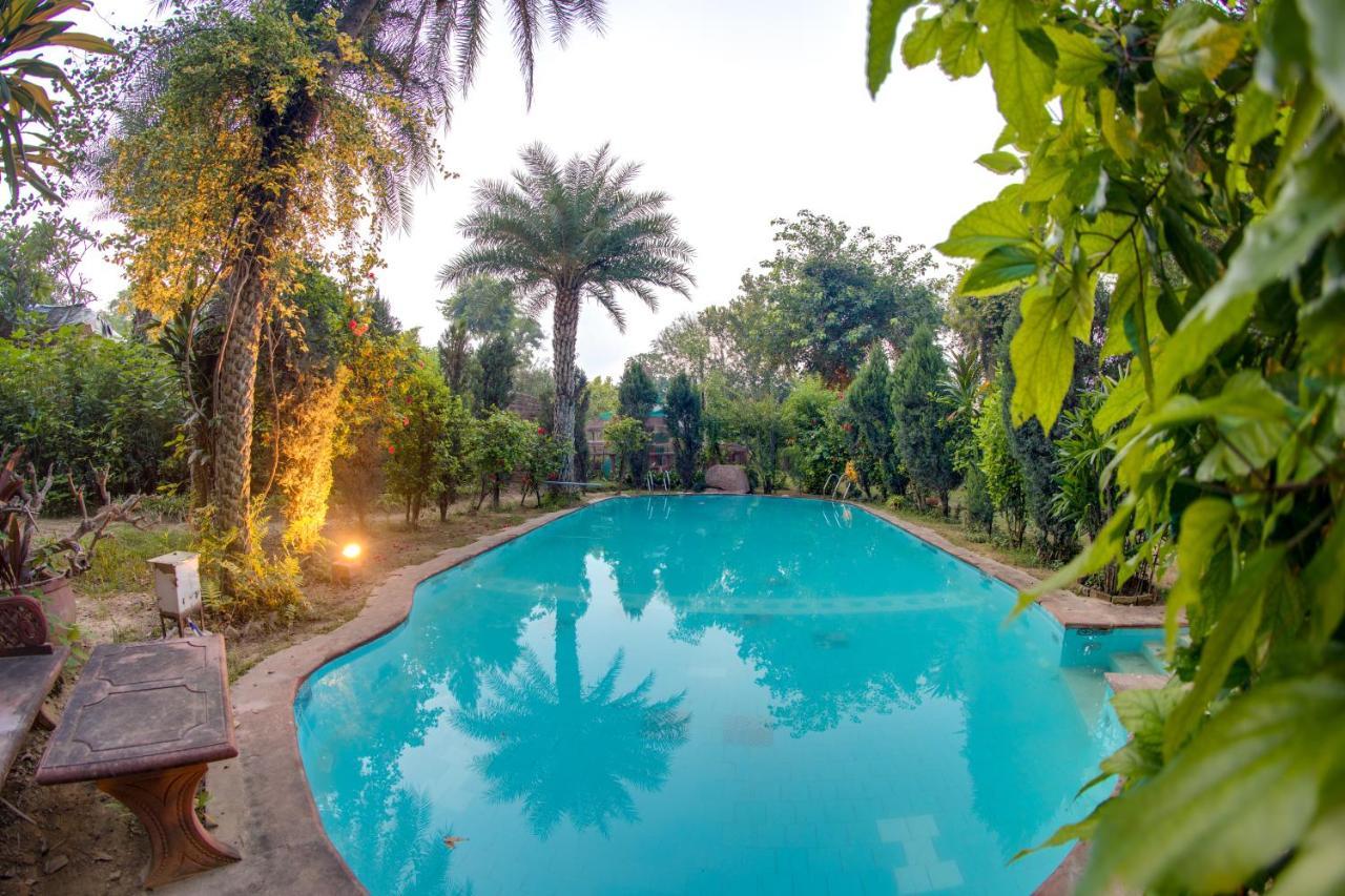 Hostie Chinar Haveli - Heritage Home With Pool, Gurgaon Buitenkant foto