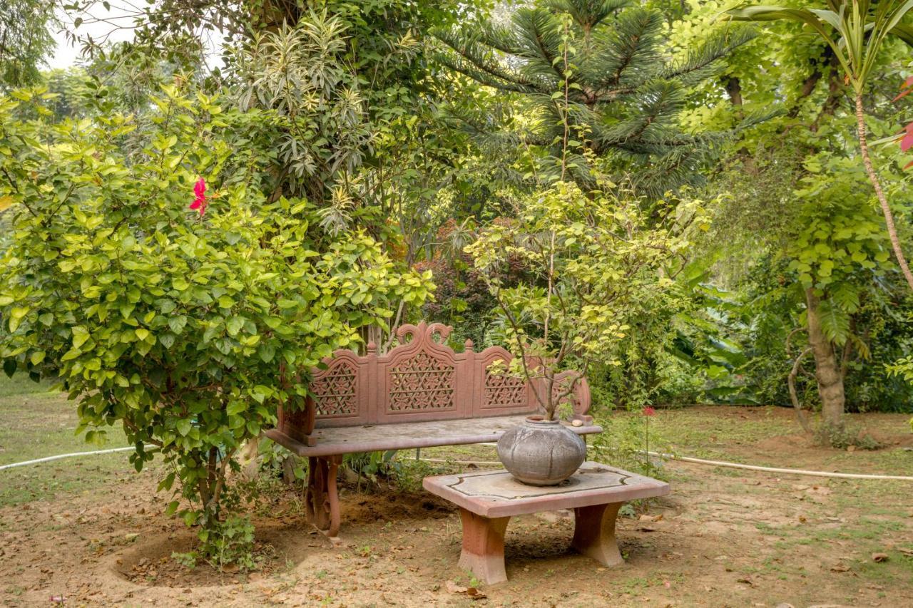 Hostie Chinar Haveli - Heritage Home With Pool, Gurgaon Buitenkant foto