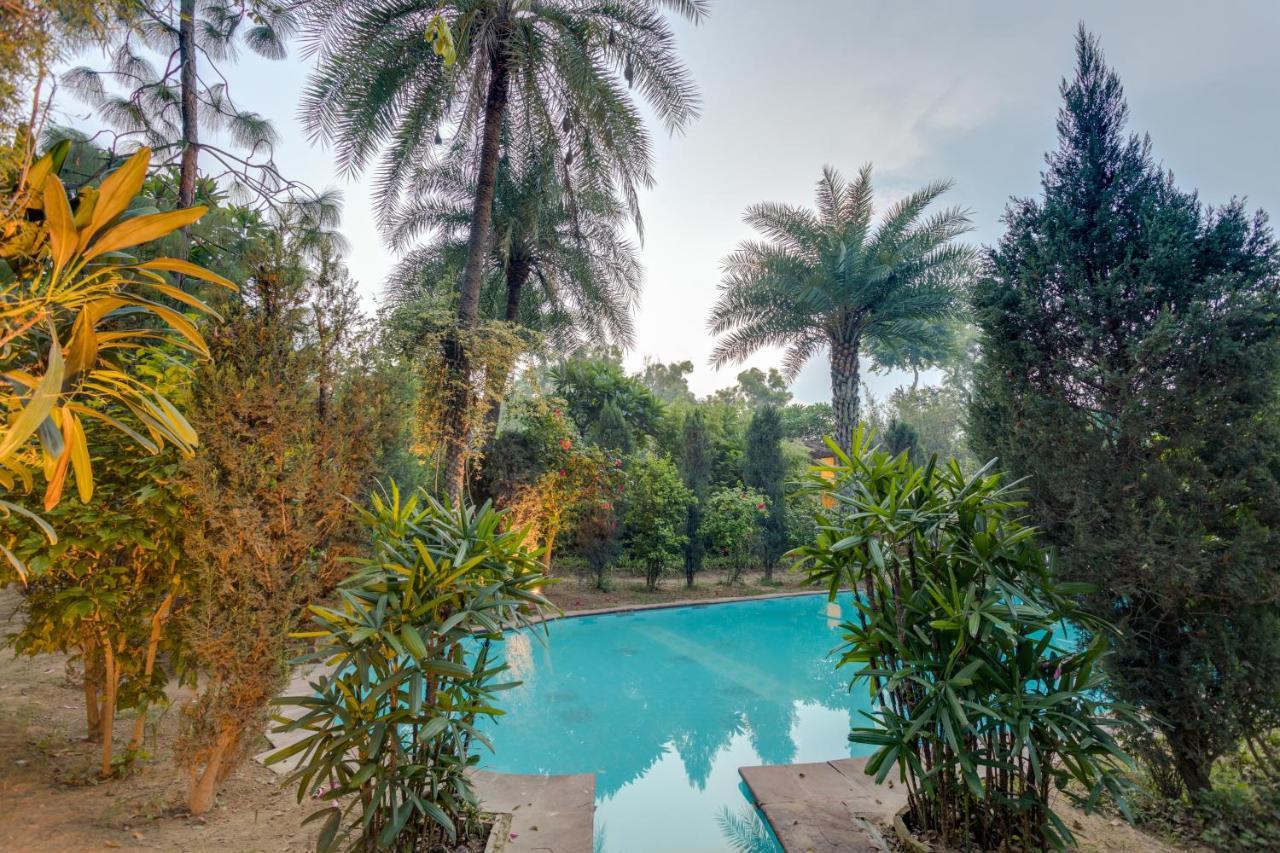 Hostie Chinar Haveli - Heritage Home With Pool, Gurgaon Buitenkant foto