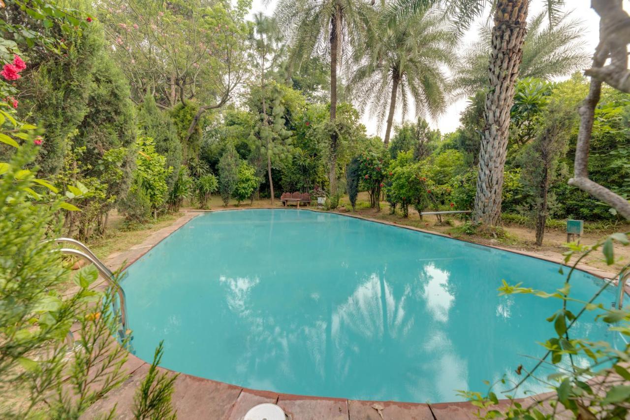Hostie Chinar Haveli - Heritage Home With Pool, Gurgaon Buitenkant foto