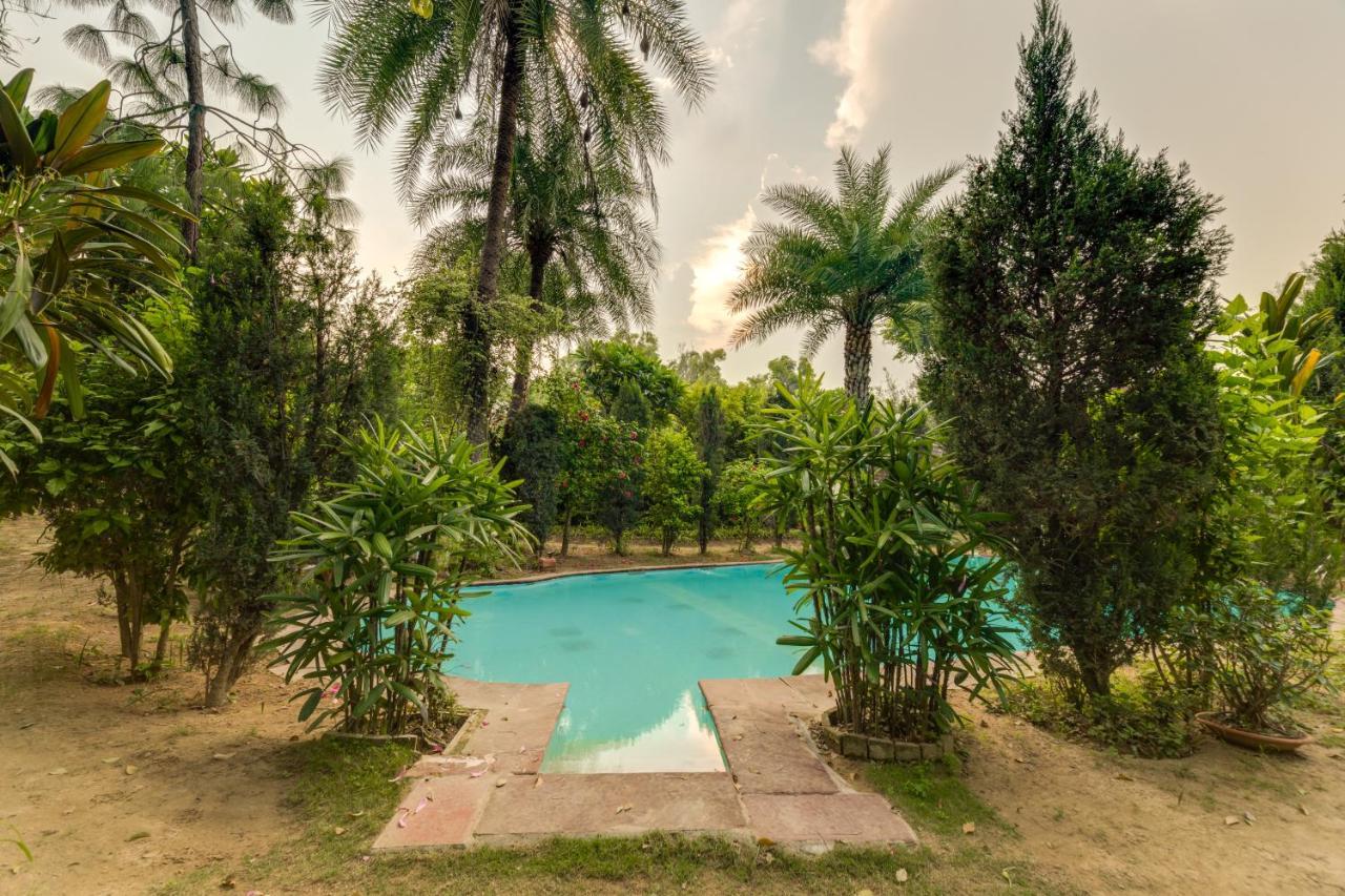 Hostie Chinar Haveli - Heritage Home With Pool, Gurgaon Buitenkant foto
